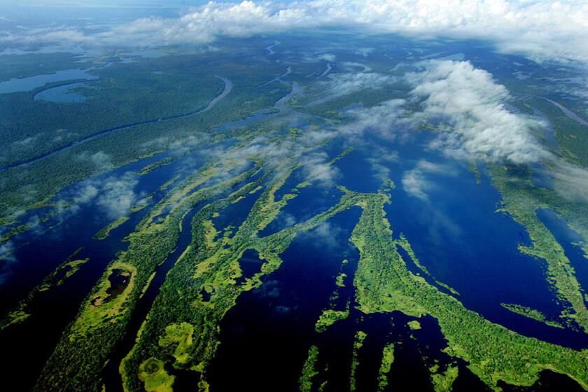 Petrobras anuncia descoberta de petróleo na Foz do Amazonas a 175 km da costa do Amapá