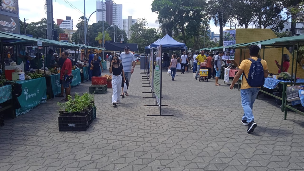 Feira Agroecológica da Juventude será realizada nesta sexta (18) em Campina Grande