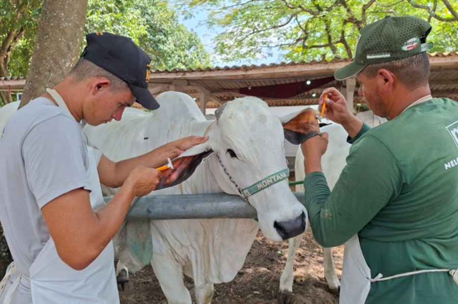 Exposição Paraíba Agronegócios começa neste domingo; preparativos entram na reta final