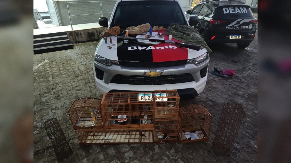 Polícia Militar resgata dezesseis aves silvestres em Guarabira