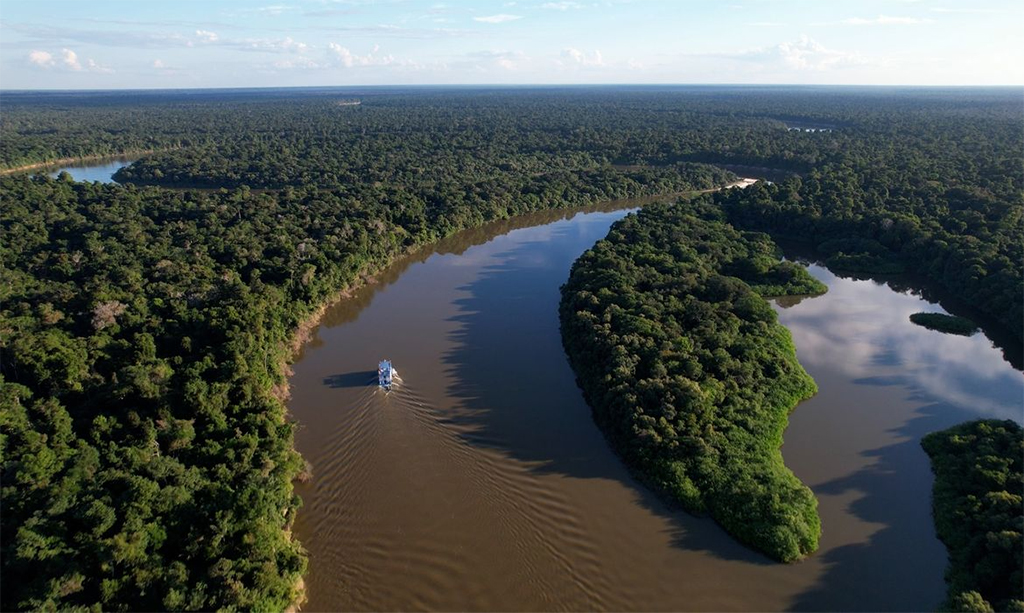 Amazônia: indígenas catalogam espécies para proteger biodiversidade