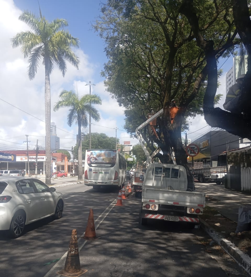 João Pessoa começa a receber decoração natalina com seis mil itens iluminados