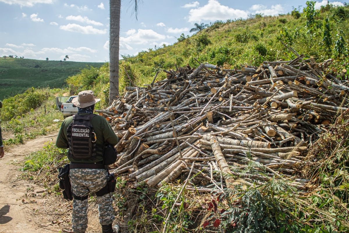 Operação ambiental aplica mais de R$ 2 milhões em multas na Paraíba