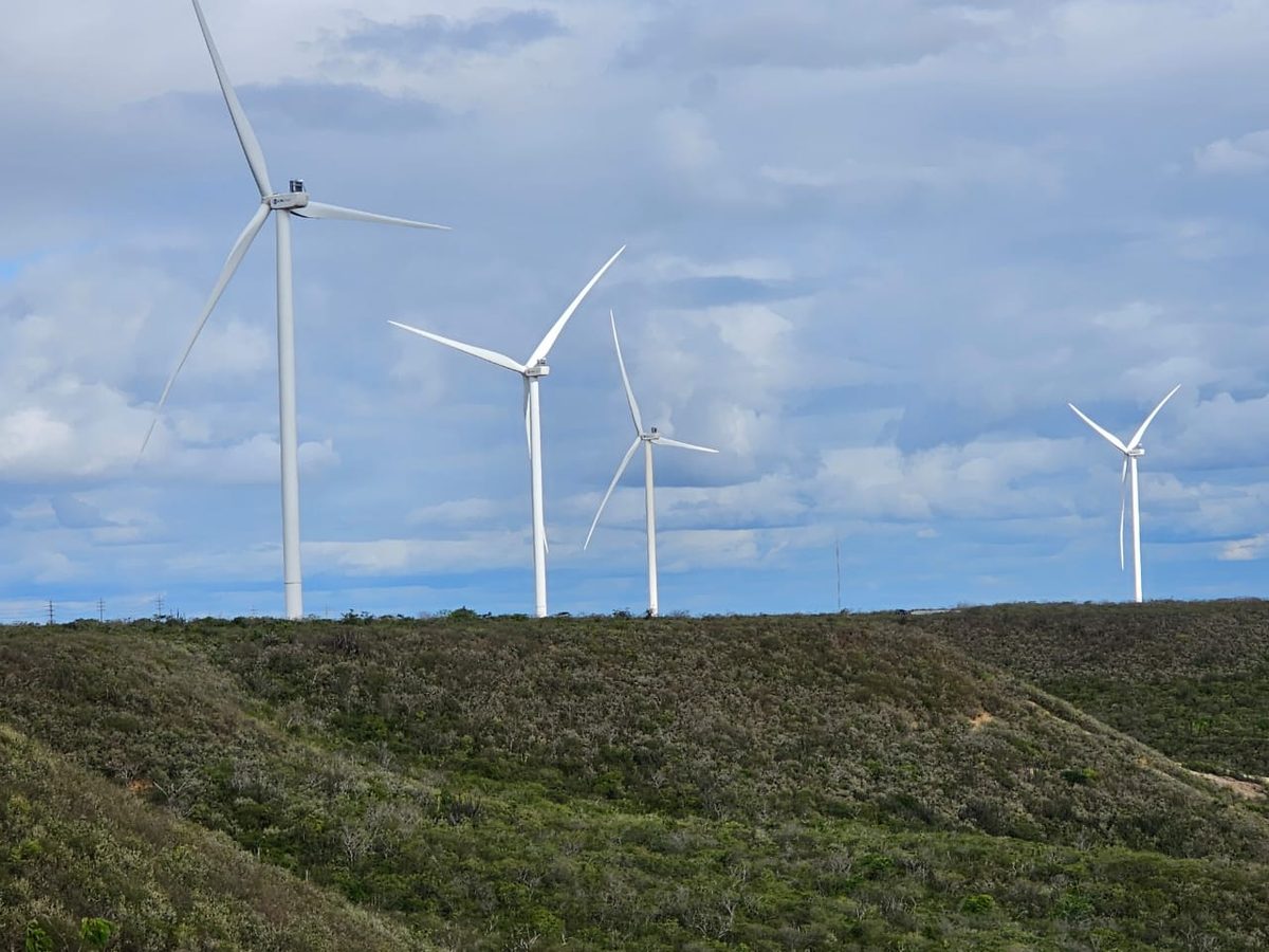 Projeto mapeia caminhos para economia verde no Nordeste