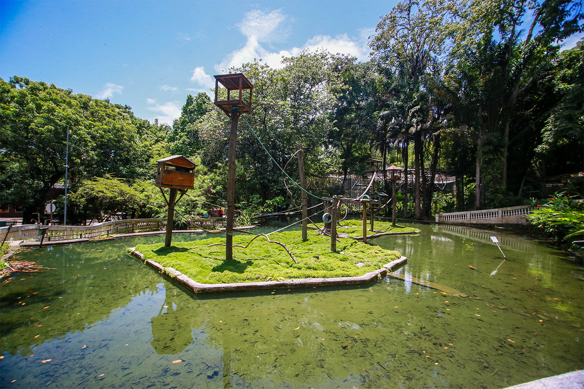 Parque preserva fragmento de Mata Atlântica em João Pessoa e contribui para equilíbrio ambiental