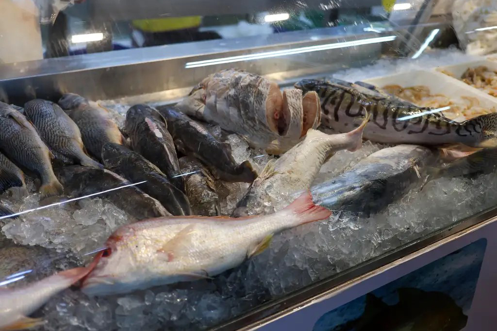 Campanha quer transformar a sexta-feira no “dia do peixe” no Brasil