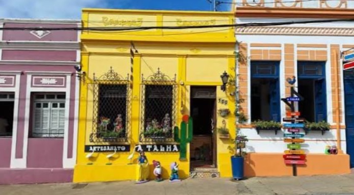 Cidade de Areia recebe o oitavo Festival de Flores em setembro