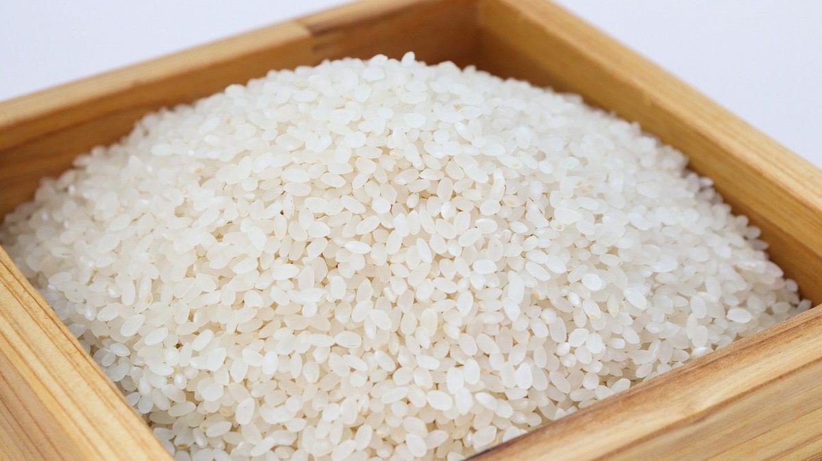 Governo brasileiro envia arroz para a Colômbia após forte abalo sísmico