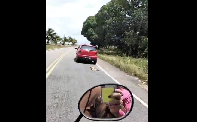Casal registra cachorro sendo puxado por automóvel na PB-041 em Marcação