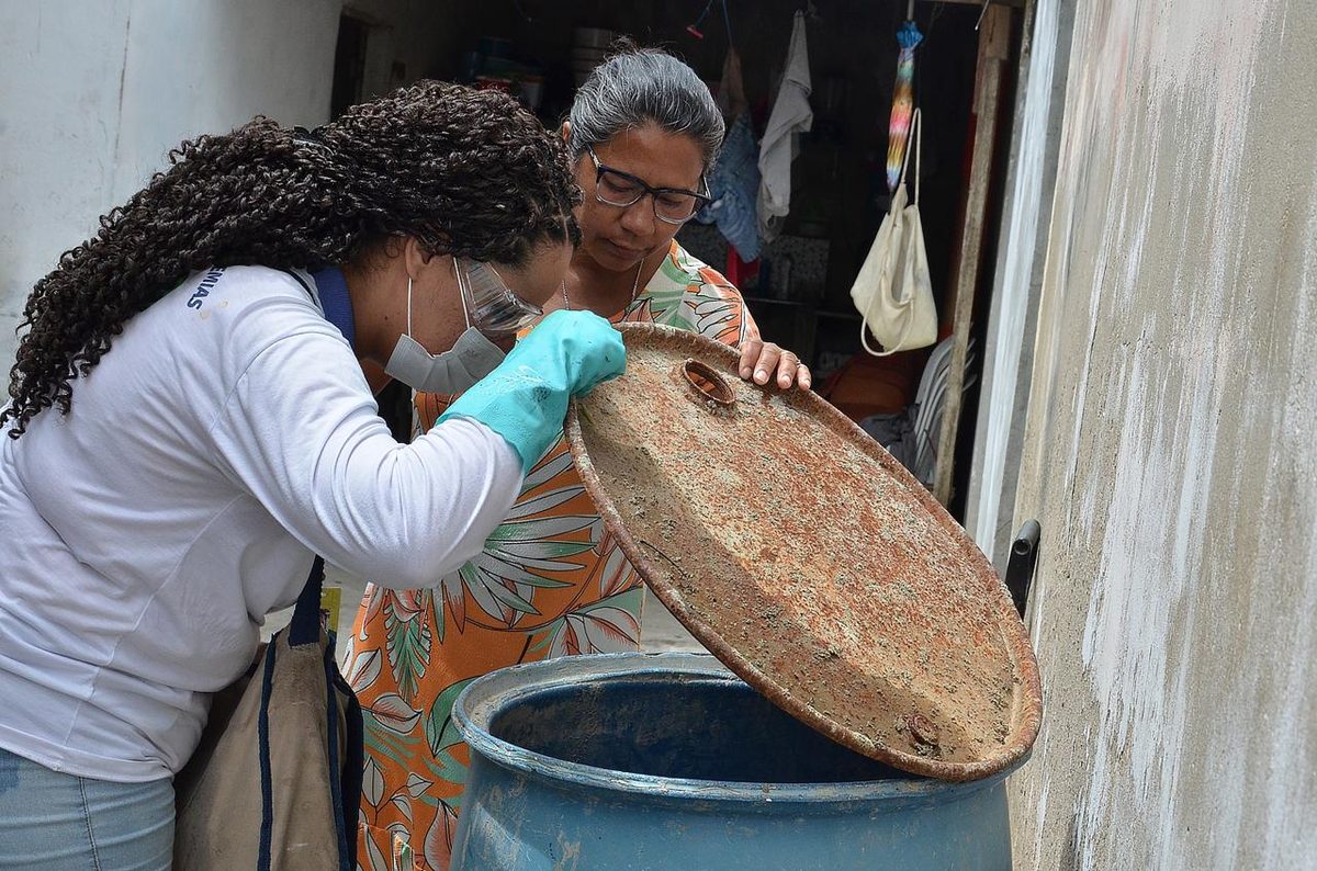Saiba os sintomas e os tratamentos para a febre do Nilo Ocidental