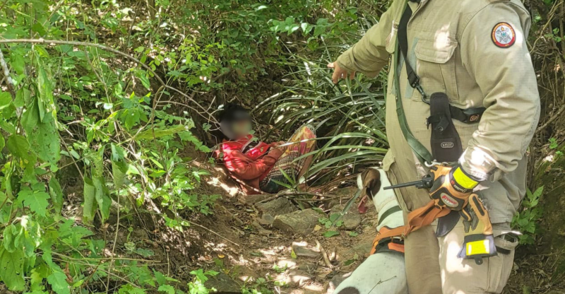 Idosa de Aroeiras é achada viva em mata por cadela do Corpo de Bombeiros