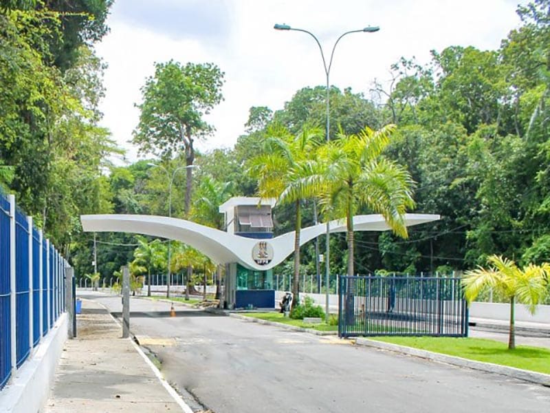 UFPB abre 45 vagas para aulas de dança para bebês e cuidadores