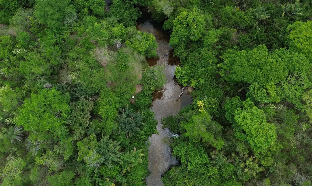 Fazenda autoriza crédito de US$ 1 bilhão do BID para Eco Invest Brasil