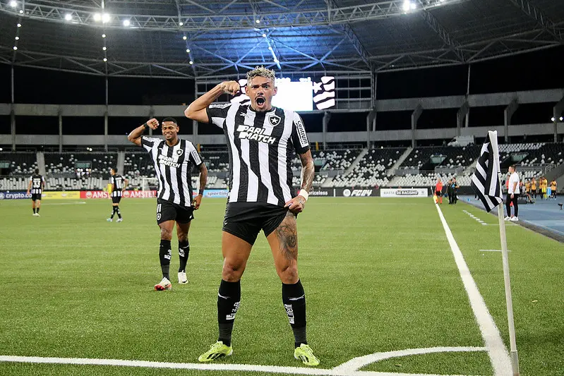 No Botafogo-RJ, Tiquinho Soares busca reencontro com melhor momento da carreira