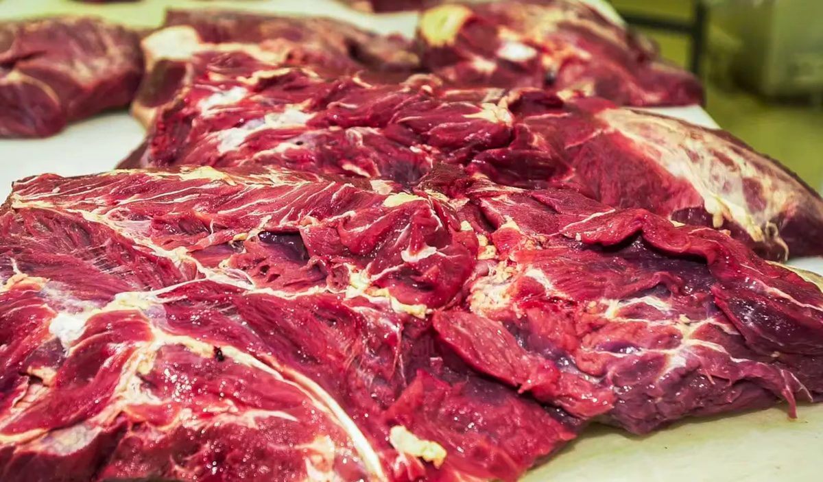 União Europeia suspende importação de carnes e ovos do Brasil