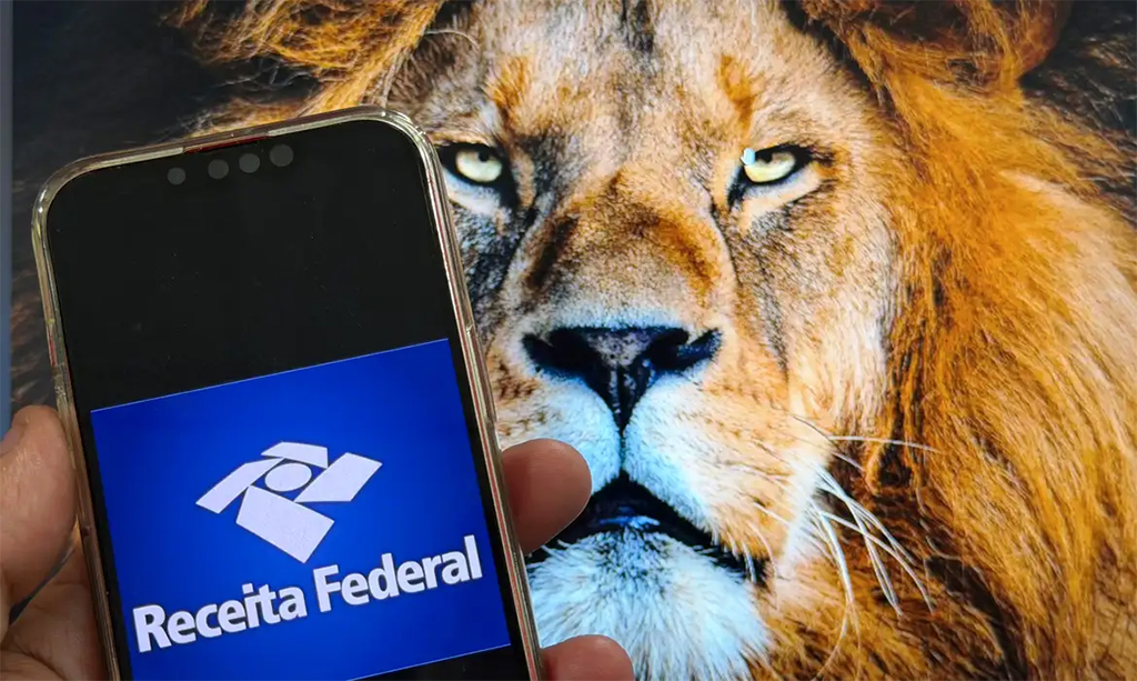 Receita envia cartas a 498 mil que estão na malha fina até o dia 20