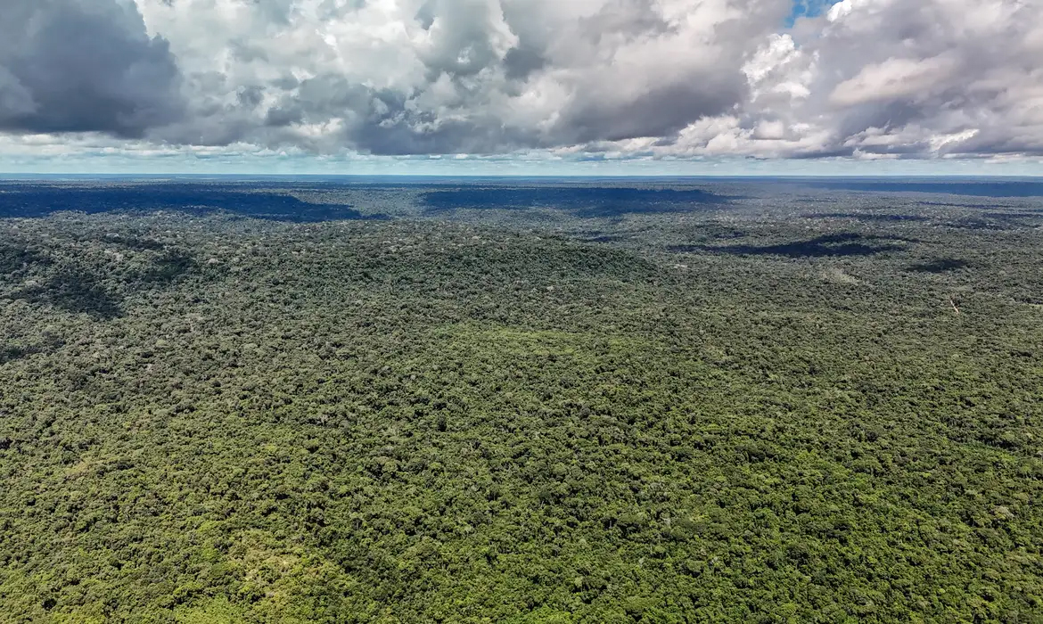 MapBiomas: Amazônia registra menor nível de desmatamento em quatro décadas
