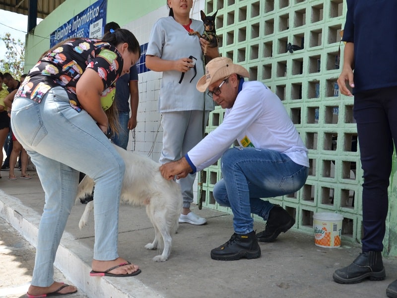 Veterinário alerta para os riscos da raiva e reforça importância da vacinação animal
