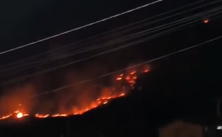 Bombeiros mobilizam força-tarefa contra incêndio florestal em Lagoa