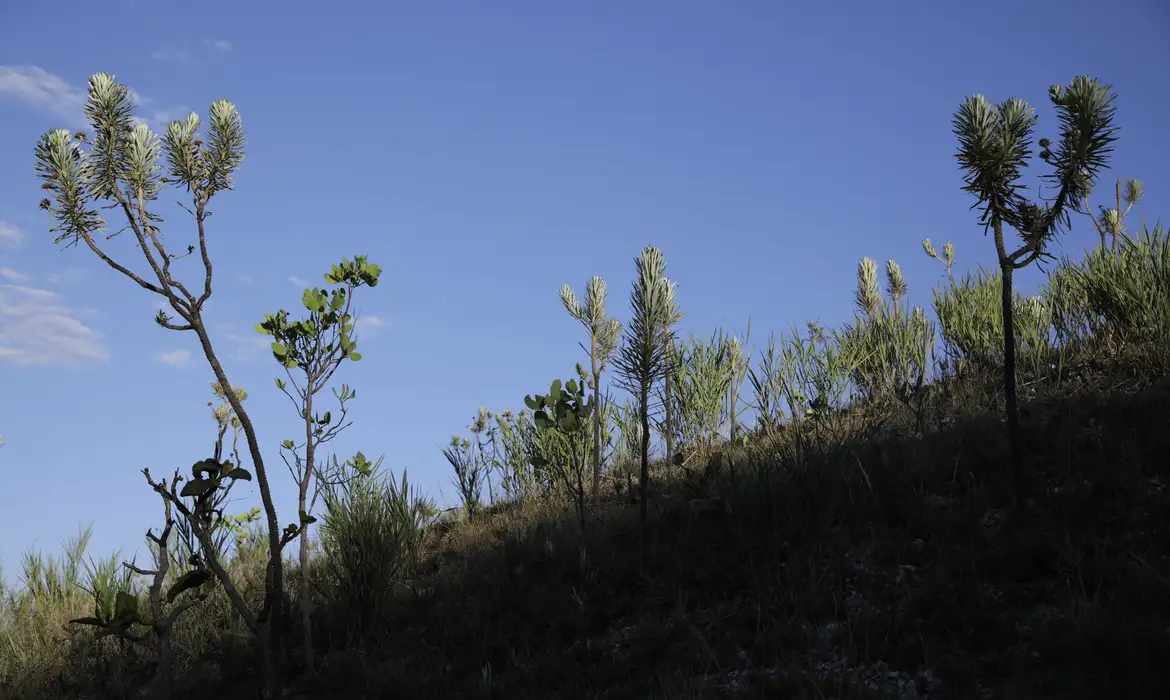 DPU: Leis do licenciamento ambiental são inconstitucionais