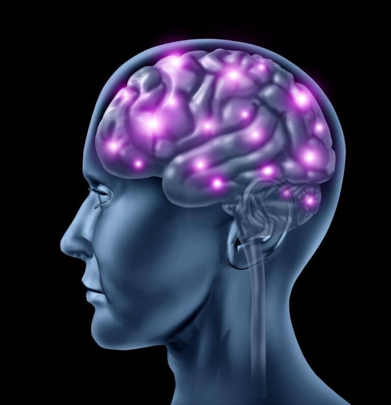 Neurocientista explica: boa parte do que acontece no cérebro ocorre antes de você perceber