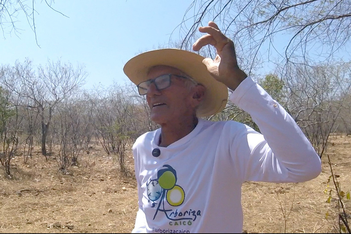 Especial: como o sertanejo utiliza plantas e animais para prever chuvas