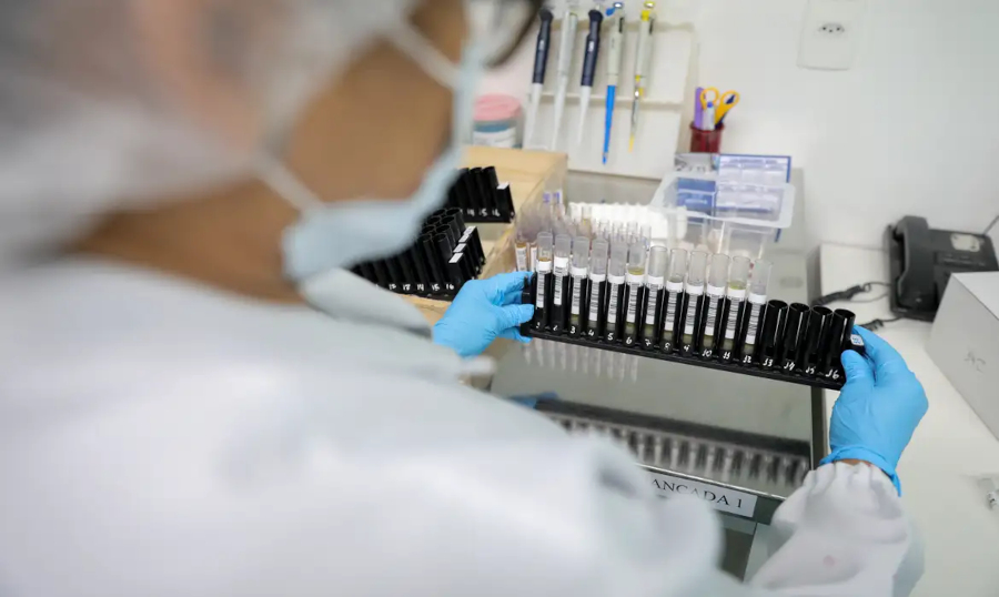 Anvisa autoriza testes em humanos de vacina brasileira contra malária