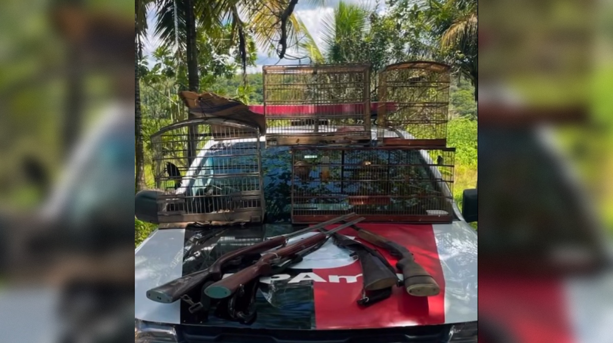 Prisão de três suspeitos resulta em resgate de aves e apreensão de armas