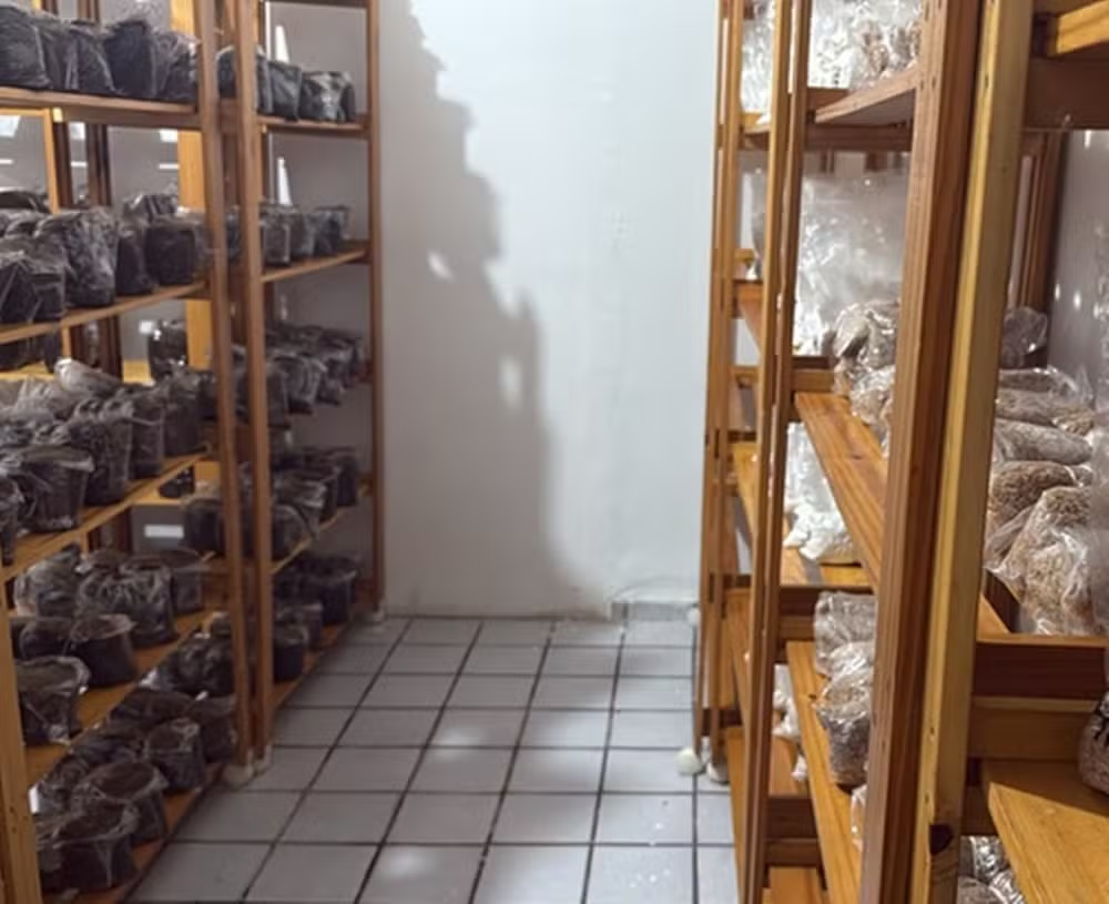 PF prende grupo suspeito de atuar como “empresa virtual” de drogas na Paraíba