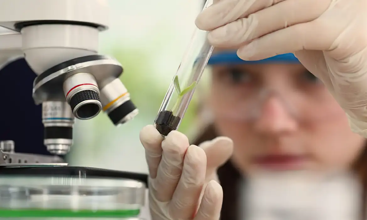 Premiação nacional para jovens cientistas recebe inscrições até outubro