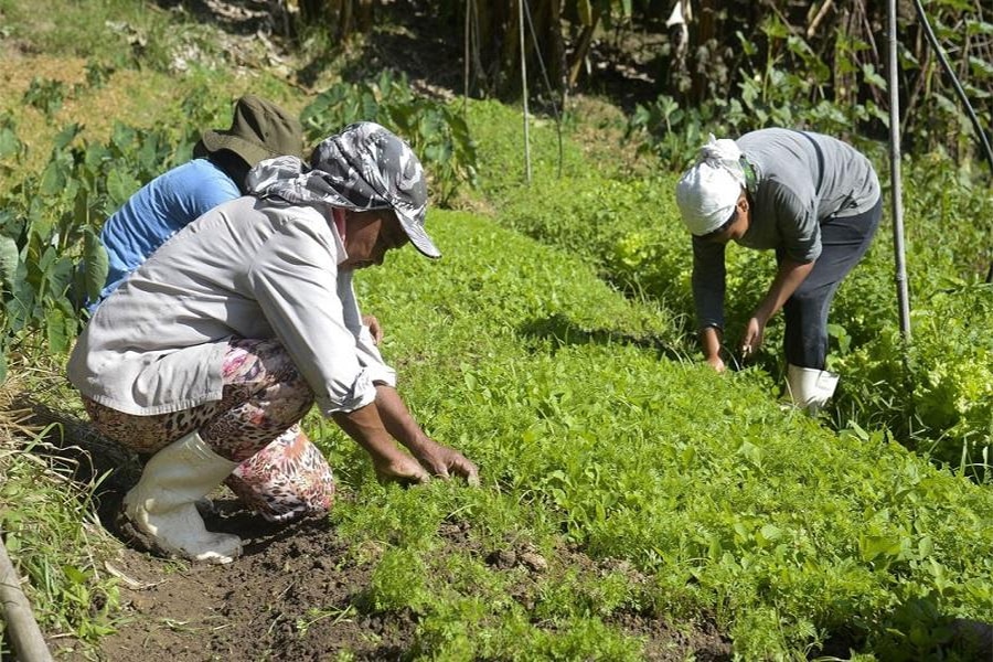 Nova lei muda regras do seguro rural e amplia benefícios para produtores