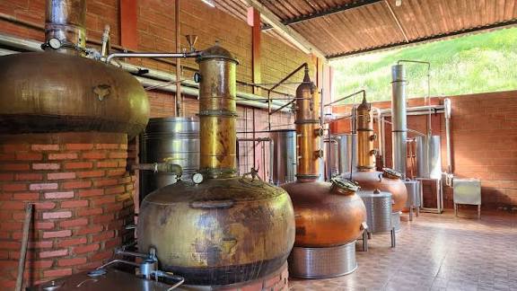 Evento gratuito, ‘Areia Mostra Cachaça’ começa esta semana