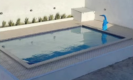 Menino de cinco anos morre afogado em clube no município de Sapé