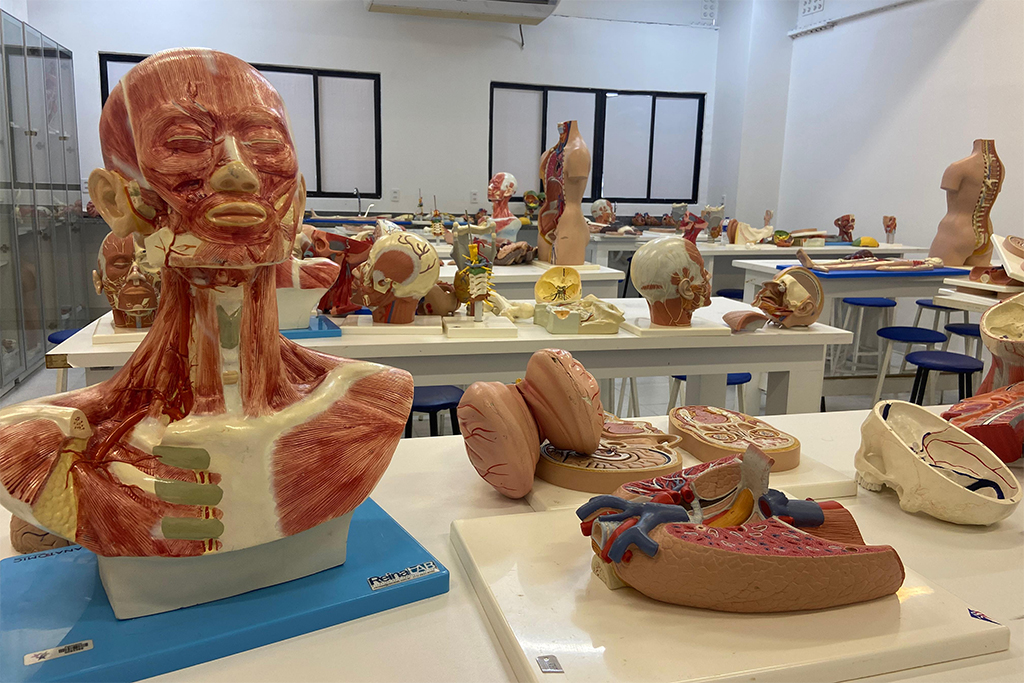 STJ restabelece sanções a cursos de medicina com nota baixa no Enamed