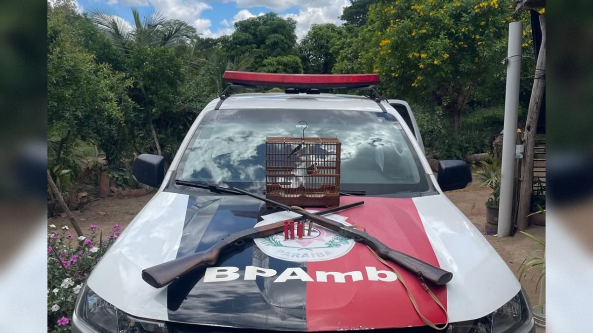 Homem preso com armas e ave silvestre na zona rural de Massaranduba