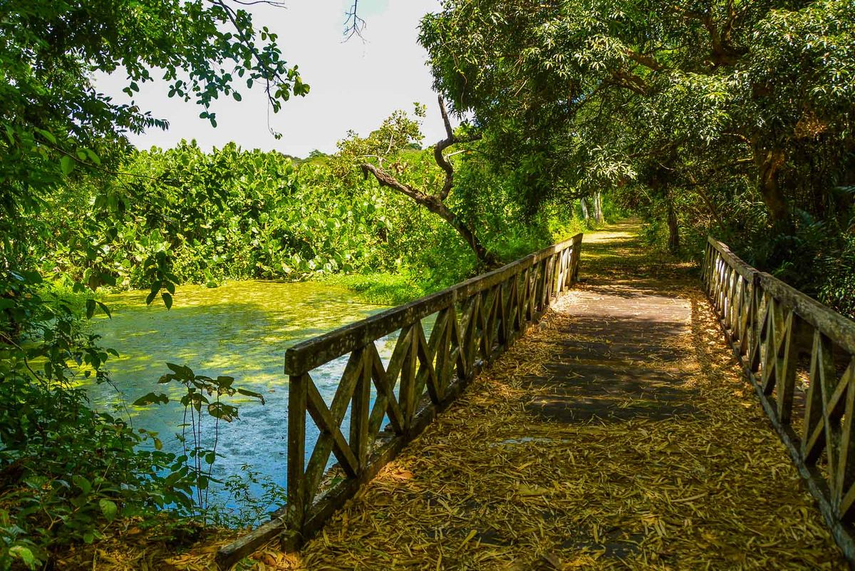 Jardim Botânico em João Pessoa terá atividades infantis na segunda