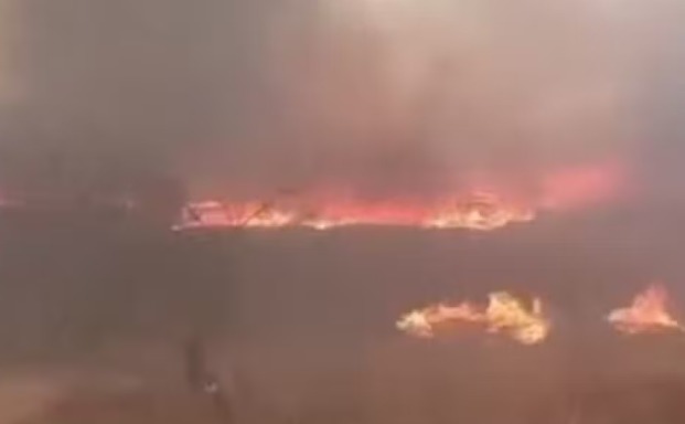 Incêndio já destruiu cerca de 600 hectares de vegetação no Sertão da Paraíba