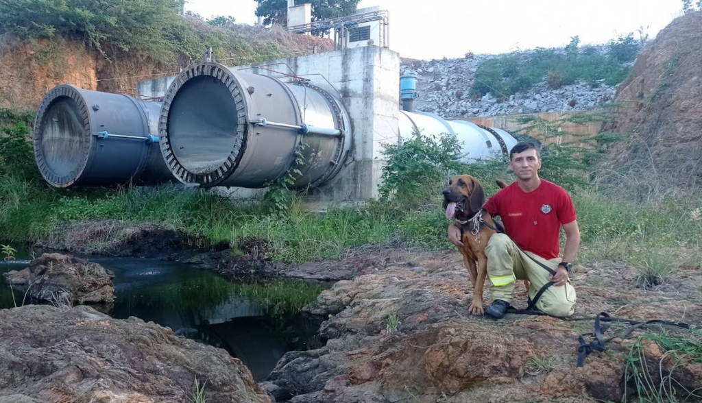 Experiência do Corpo de Bombeiros com cães de busca integra programação da SBF