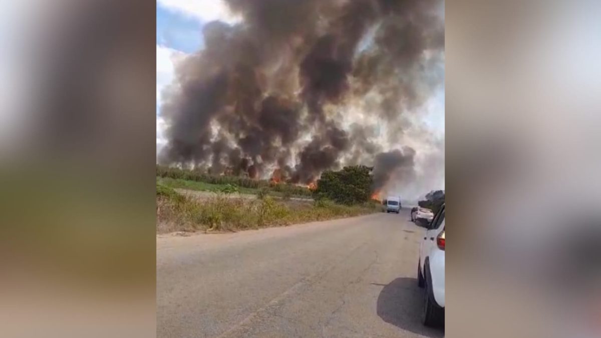 Incêndio atinge plantação de cana-de-açúcar em Capim
