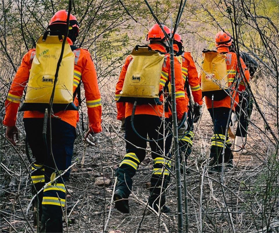 Incêndio na Serra do Cruzeiro chega ao fim após sete dias de combate