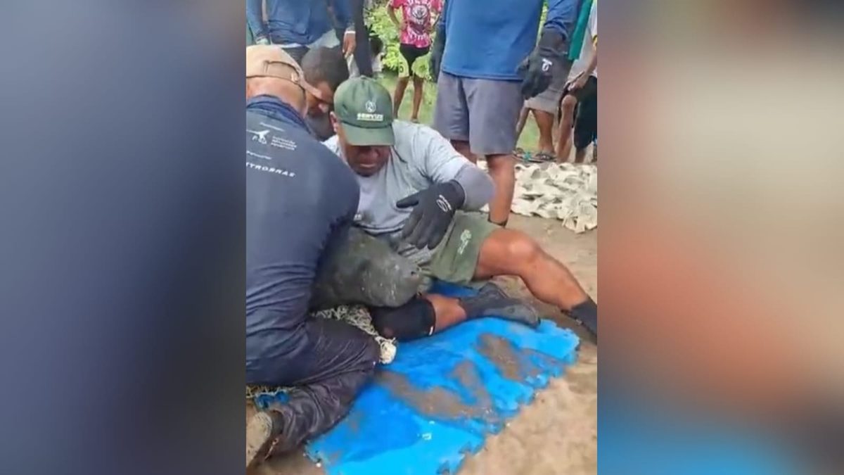 Peixe-boi é resgatado no Rio Jaguaribe e levado para proteção