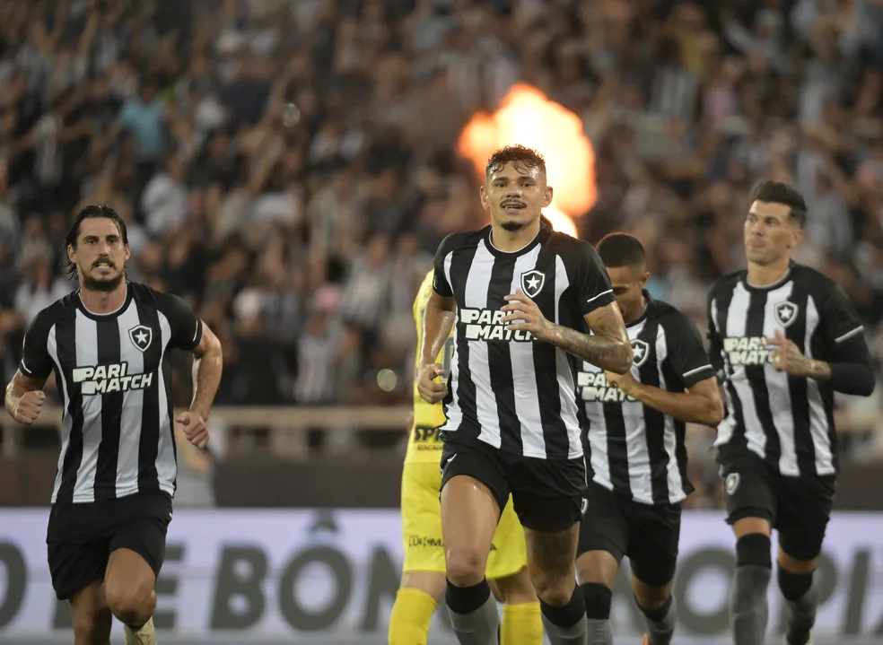 Tiquinho Soares, Botafogo